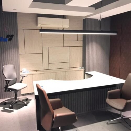 Bella Group commercial office with a suspended black linear luminaire above the desk